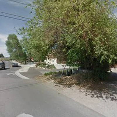 Timber Ridge Tree Service