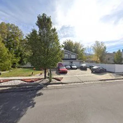 Davis & Davis Tree Care