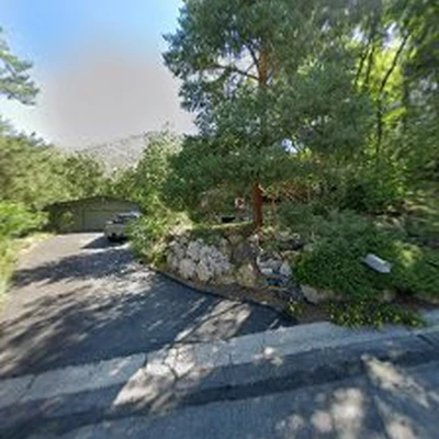 Mt Olympus Tree Service LLC