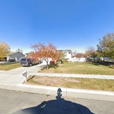 TreeMendus Arbor Care