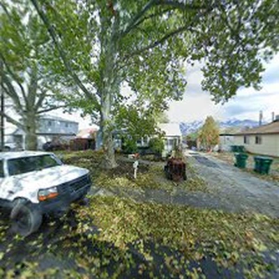 Ellison Tree Company