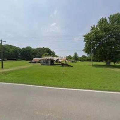 A1 Tree Services