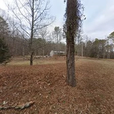 Quality Land Clearing
