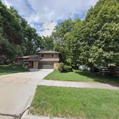 Olson Tree Care