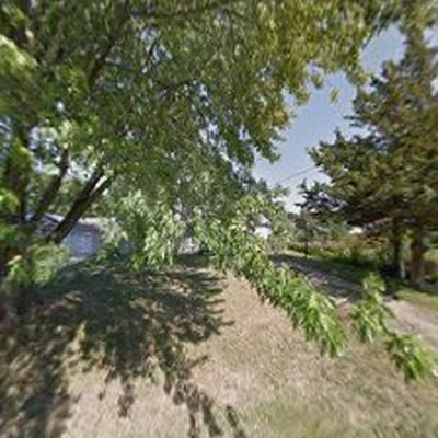 Green Tree Care & Habitat Restoration