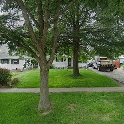 All Seasons Tree Services