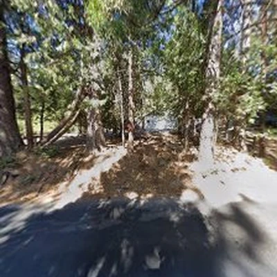 Twain Harte Tree Service