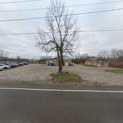 Absolute Tree
