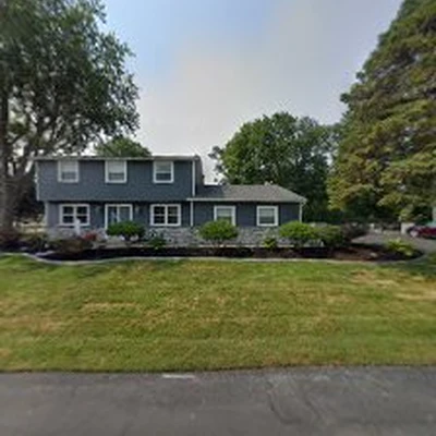 Expert Tree Service