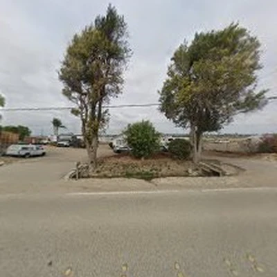 Camarillo Tree Service