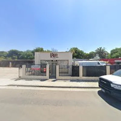 New Vision Tree Service