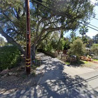 Joe Kenton Tree Service & Certified Arborist