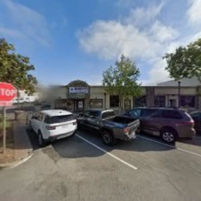 Camarillo Tree Service Pros