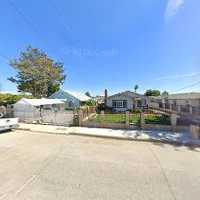 Seaview Tree Service