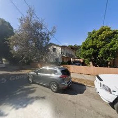 Segura Tree Service - Tree Trimming in Santa Barbara