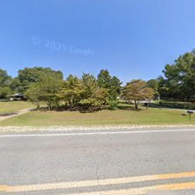 Broken Branch Tree Service