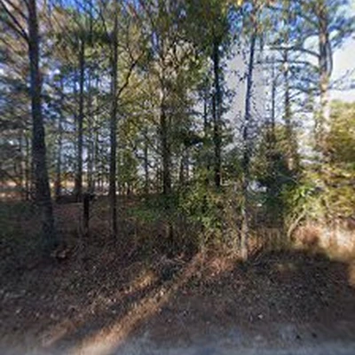 Fortson Tree Company