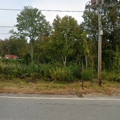 McN Tree Service