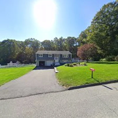 Dave's Tree Service LLC