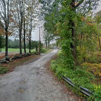 Calcia Tree Service