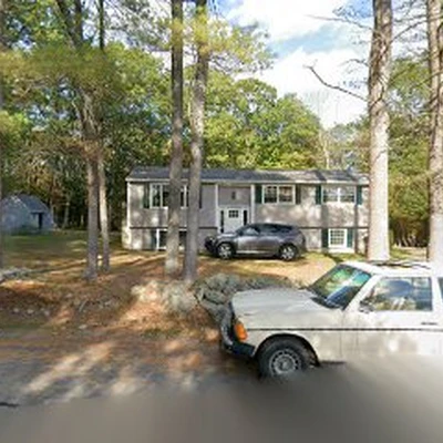 Skyline Tree Service