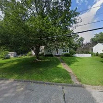A Cut Above Tree and Shrub Care, Inc.