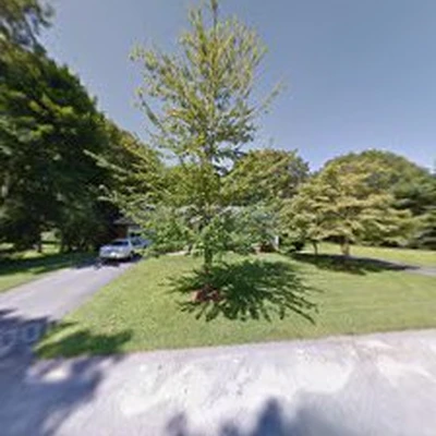 C's Tree Service