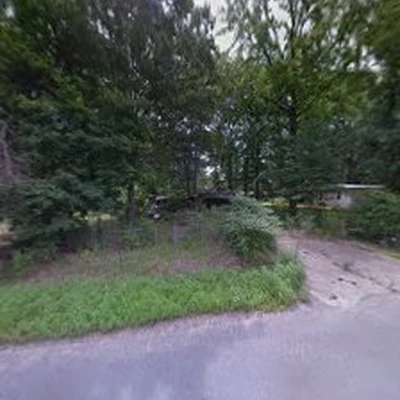 Watson Tree Removal