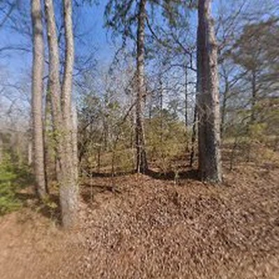 Froylan's Stump Removal
