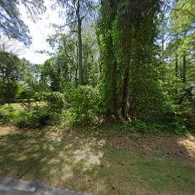 Southern Pines Tree Service