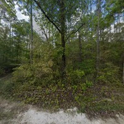 JD's Tree Service and Lawn Care