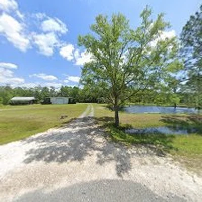 Tall Timber Tree Service & Stump Grinding
