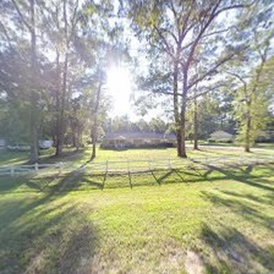 Coste Tree Service