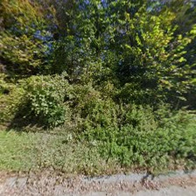 Budget Tree Service LLC