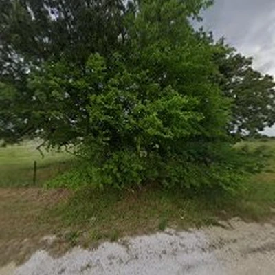 Top Point Tree