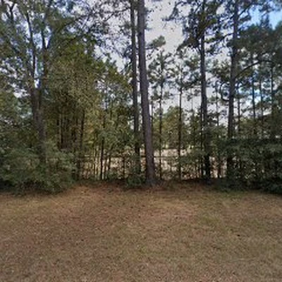 The Tree Expert Company LLC