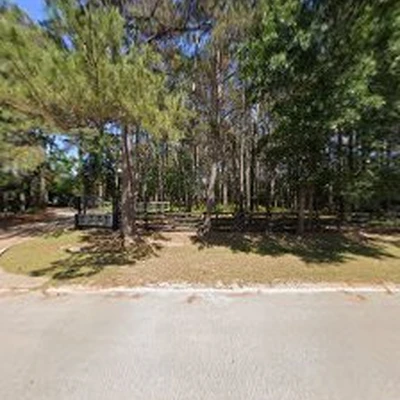 Environmental Design, Inc. - Nationwide Large Tree Moving Service