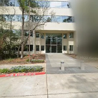 Monster Tree Service The Woodlands