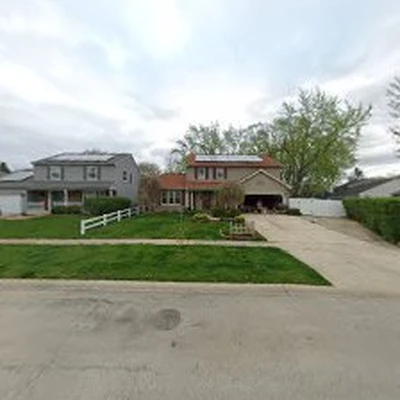 GTO Tree Service - Professional Tree Stump Removal and Trimming Service
