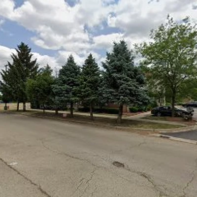 Conway Removal Tree Service Plainfield
