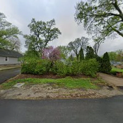 Rapid tree service