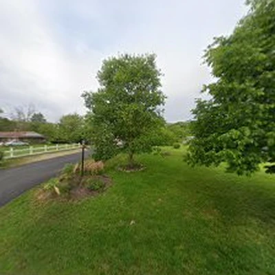 Andreu Tree Services