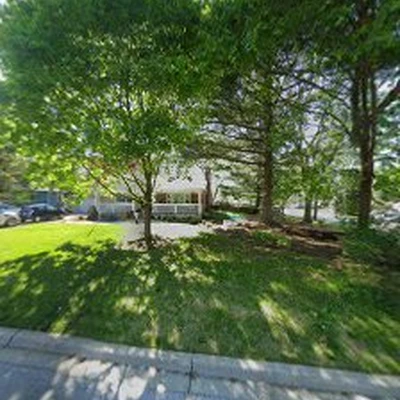 Twin Pines Tree Care Experts