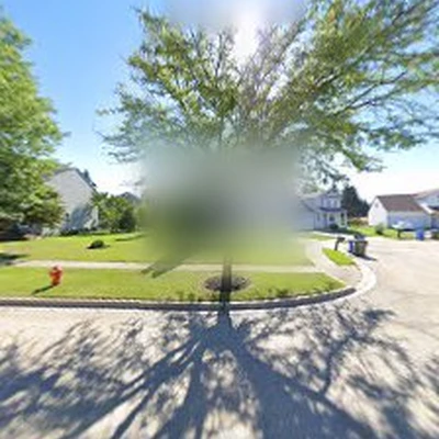 Timber Tree Experts LLC