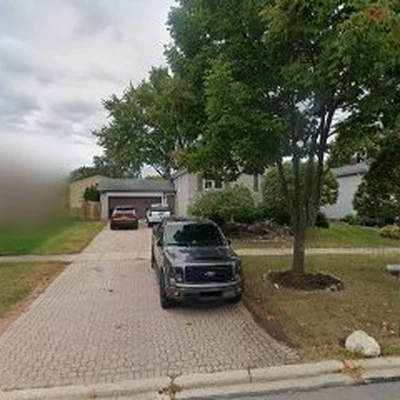 Lucas Tree Care Experts