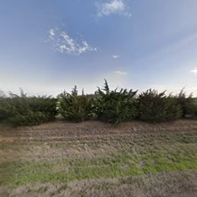 Pastwas Tree Service LLC