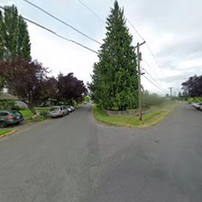 New Life Tree Service LLC