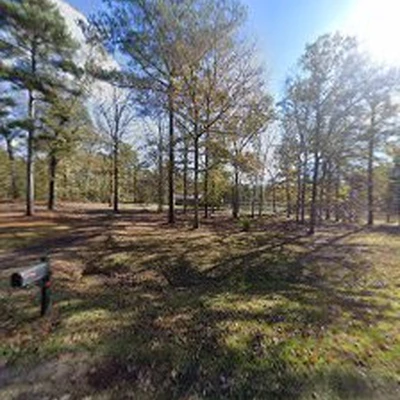 Around The House And Tree Resources