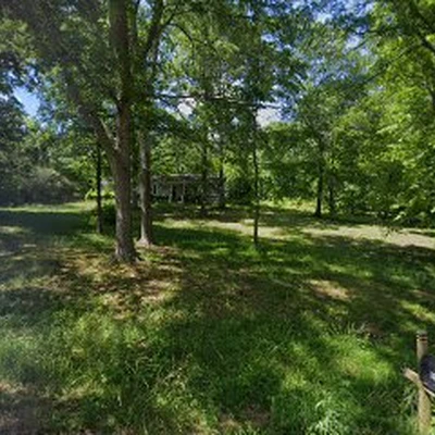 Coosa Arborist