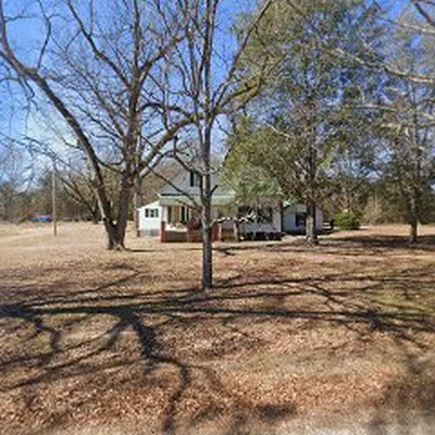 Morgan Tree Services